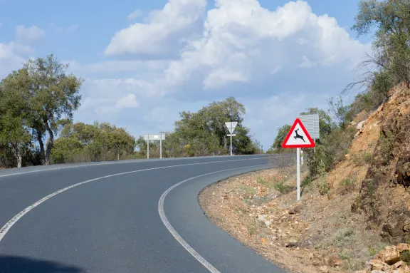Tramos conflictivos con fauna en carretera