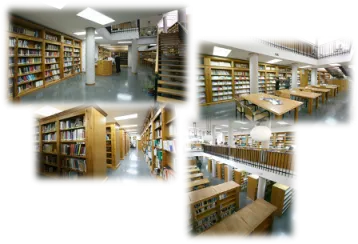 Imagen de laboratorio