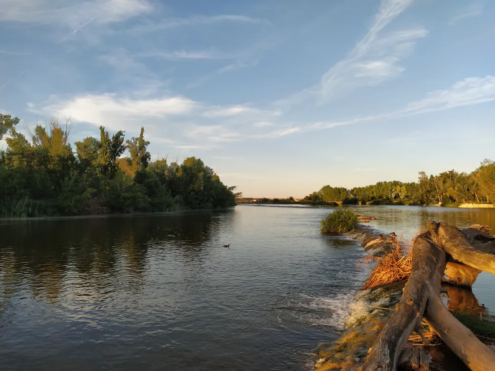 Vista de una sección del río Duero en la que se ha evaluado el estado hidromorfológico