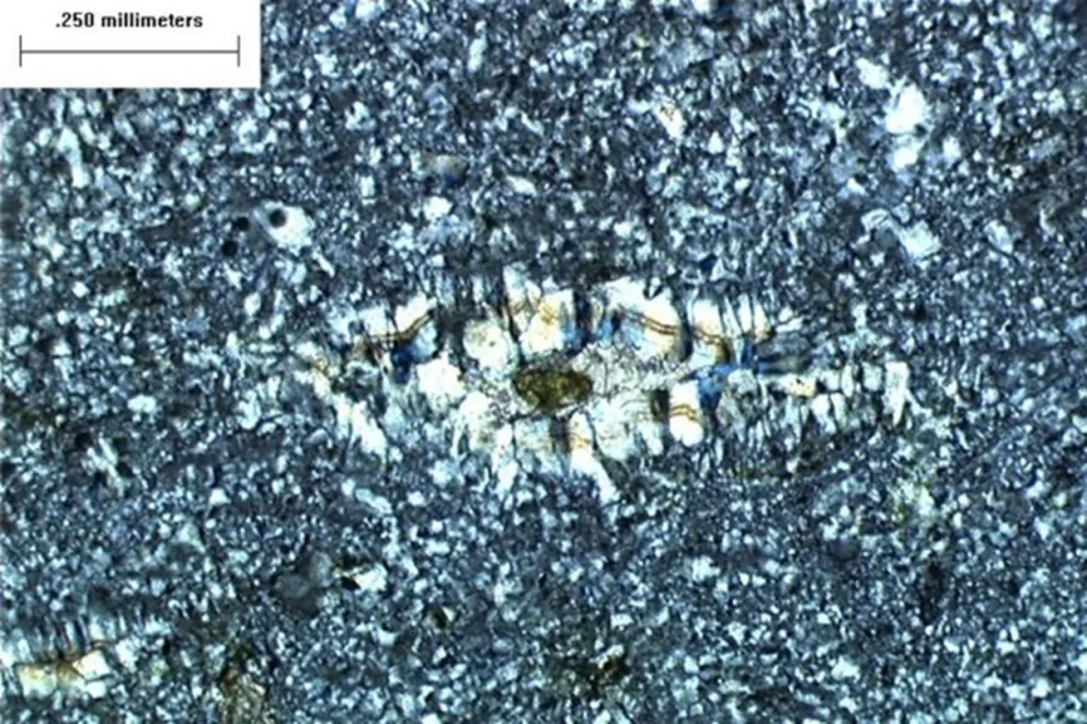 Foto de microscopio de árido reactivo