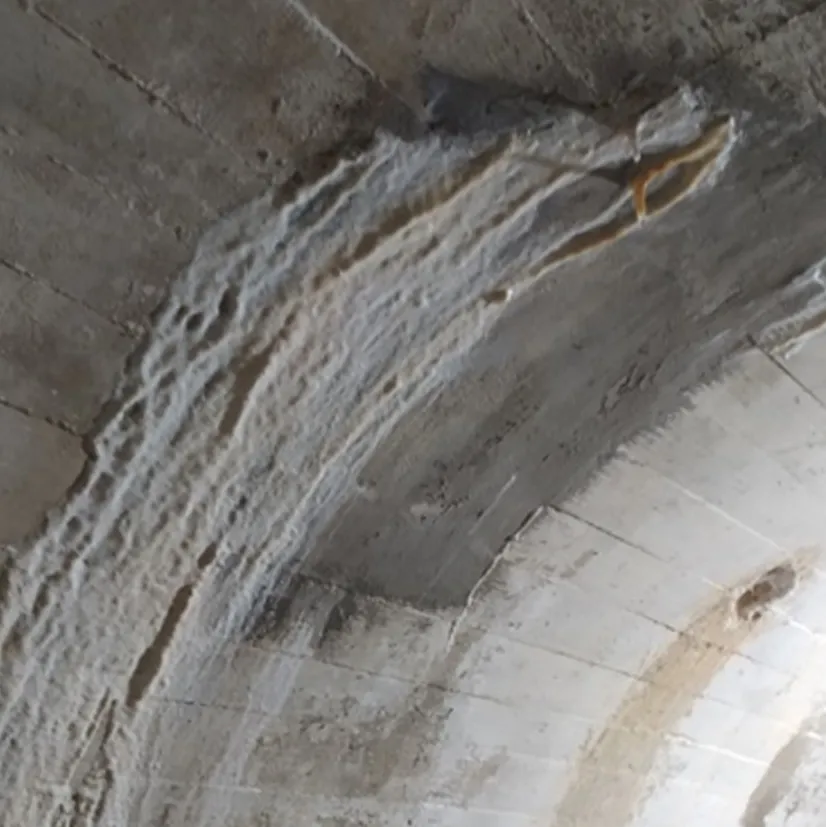 Foto de una patología química del hormigón