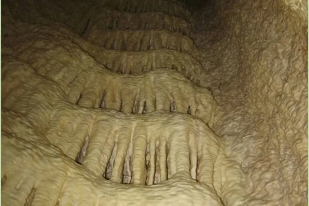 Foto de carbonatación por lixivación en una presa