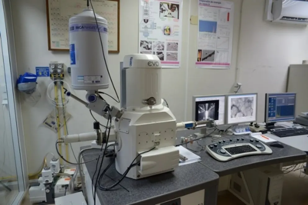 Foto del microscopio electrónica de barrido