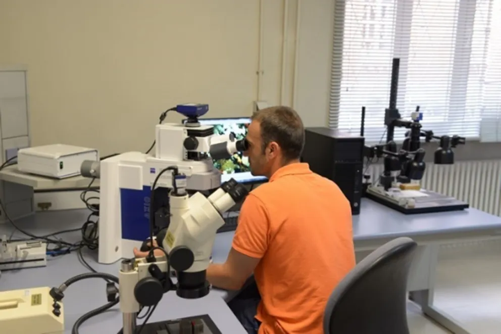 Foto de microscopio óptico