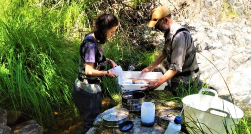 Un hombre y una mujer trabajando con muestras en el campo