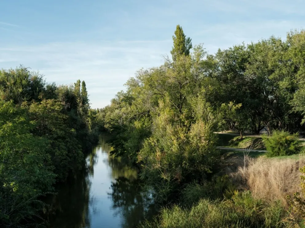 Ribera Manzanares