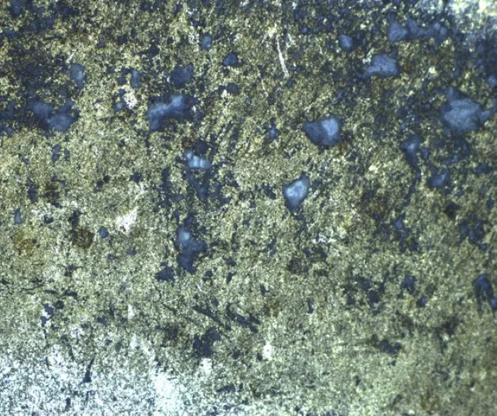 Imagen microscópica de un acero