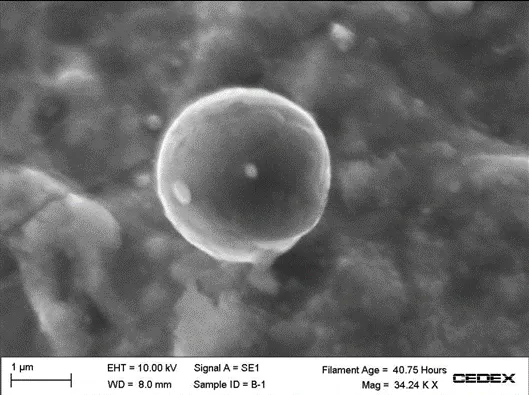 Imágen de microscopio de una microesférula resultado de la actividad bacteriológica