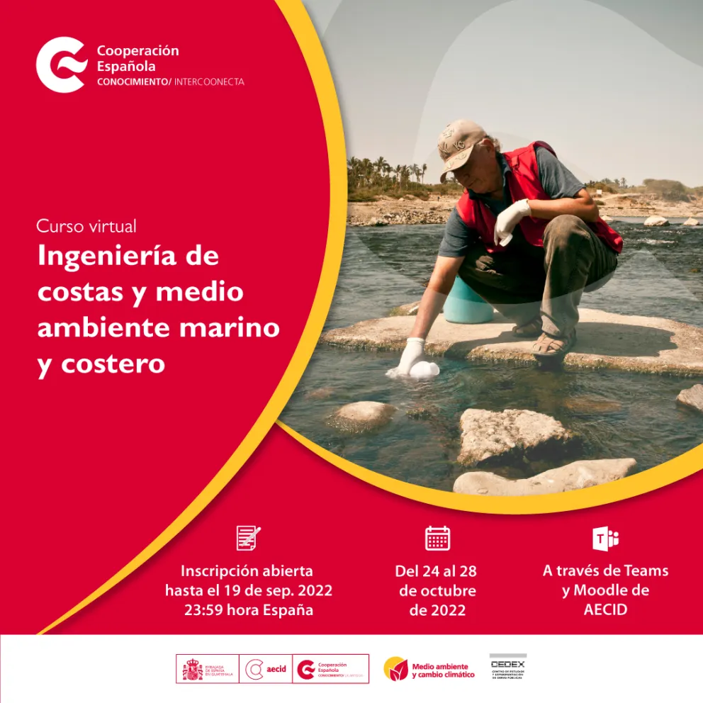 Cartel curso Ingeniería de costas y medio ambiente marino y costero