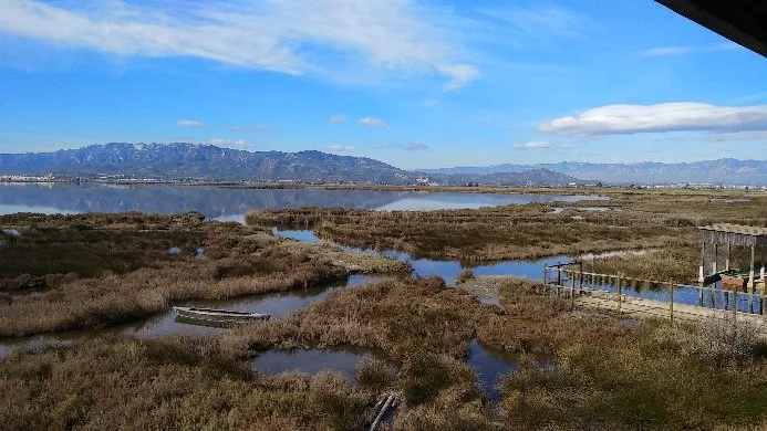 Panorámica del delta del Ebro