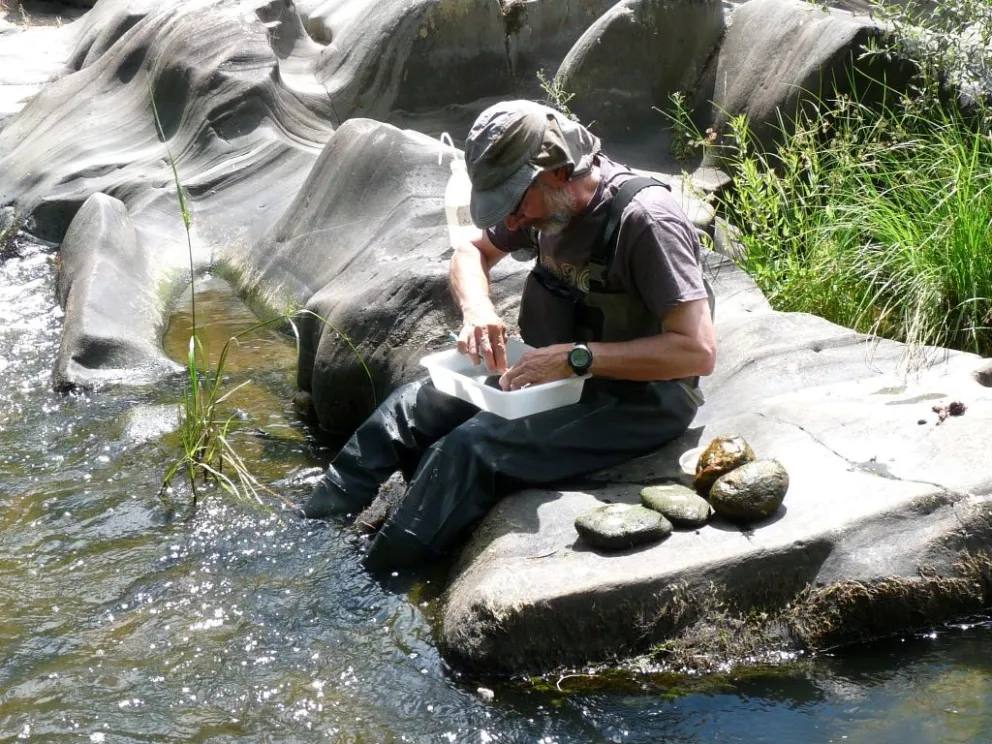 Muestreo de fitobentos en el río Sever 