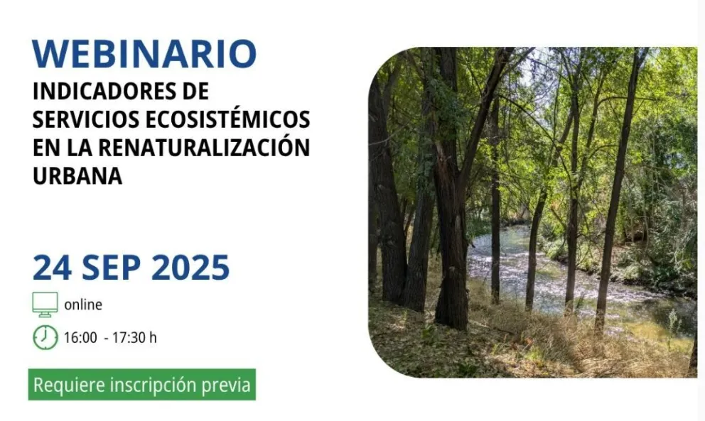 webinario manzanares