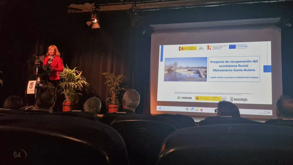 manzanares-direccion