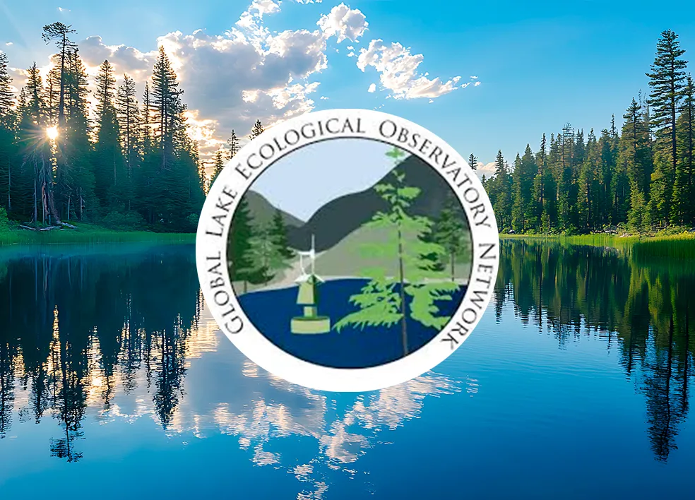 Logo Red Global de Lagos