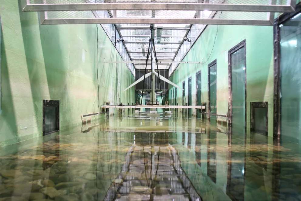 Estructura para energía renovable