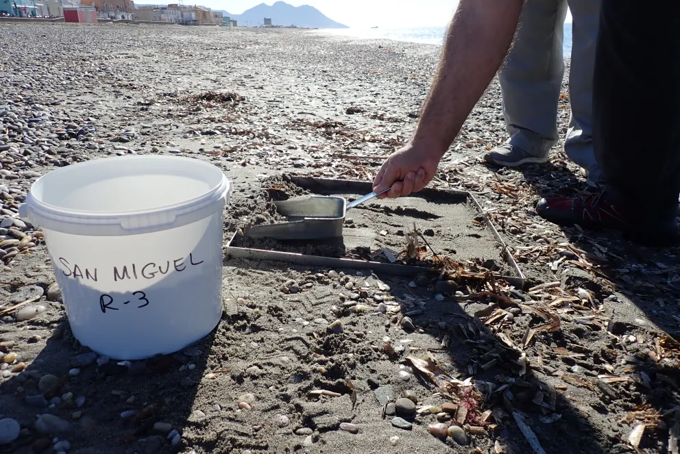Recogida de muestras en playa