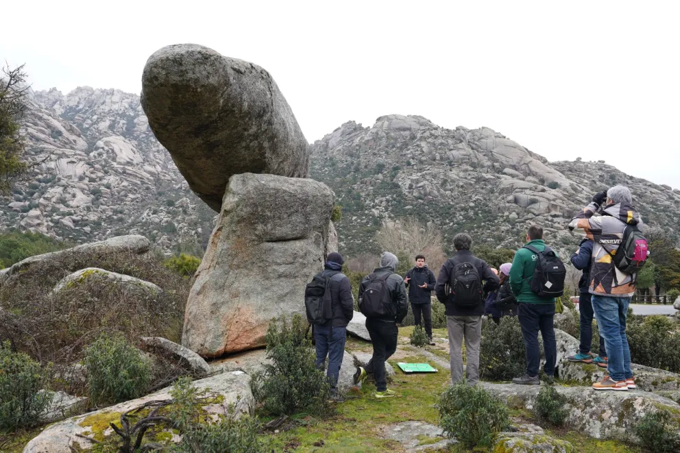 Workshop on Geometry, Mechanics, and Evolution of Natural and Artificial Shapes