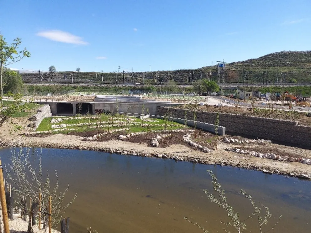 visita fin manzanares