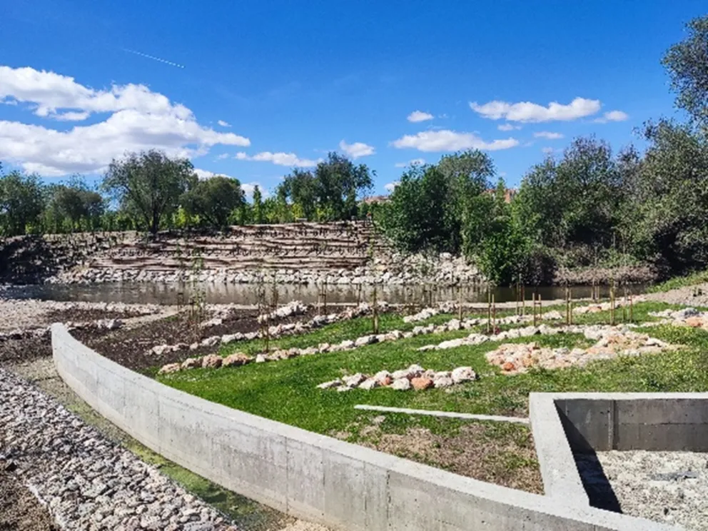 visita fin manzanares