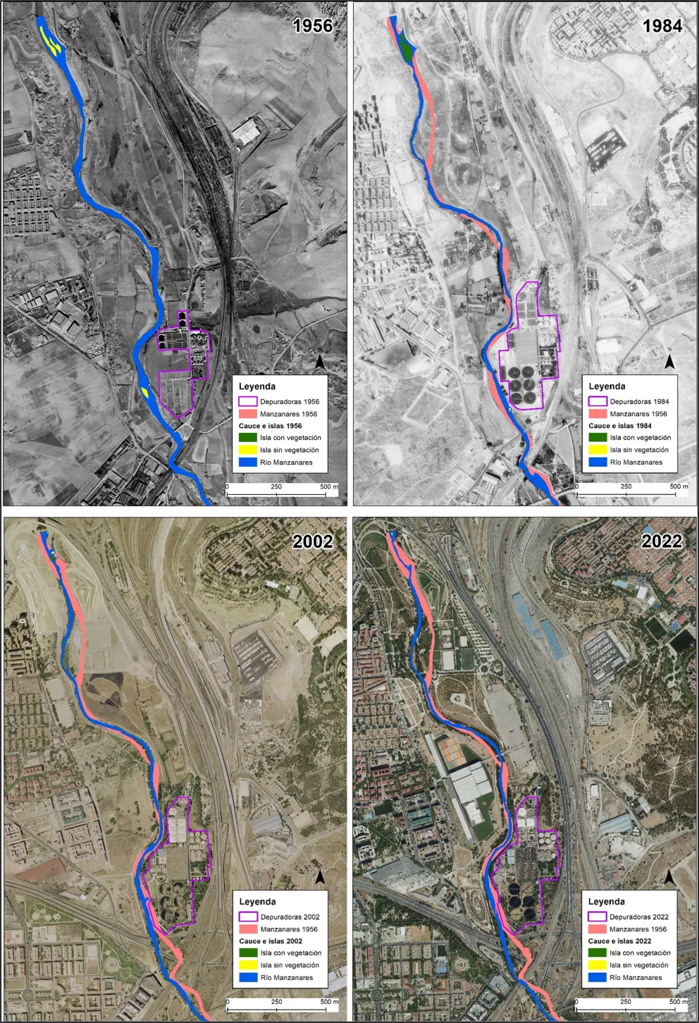 Evolución morfológica