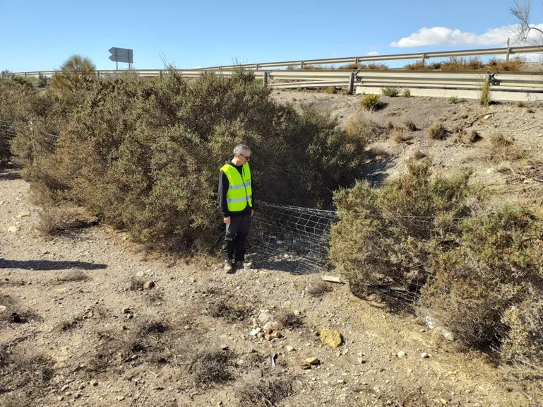 Trabajo de campo caracterización TEFIVA