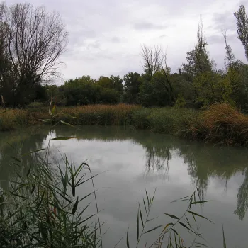 Ribera de río