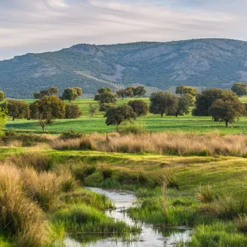 Vista de Parque Nacional de Cabañeros