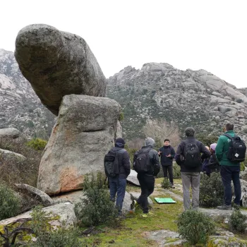 Workshop on Geometry, Mechanics, and Evolution of Natural and Artificial Shapes