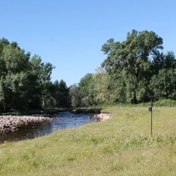 Estudio de sedimentos en el río Tiétar