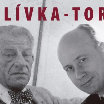 Imagen Jornada Polívka-Torroja