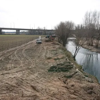 Recuperación en el proyecto Manzanares-Gavia-Bulera